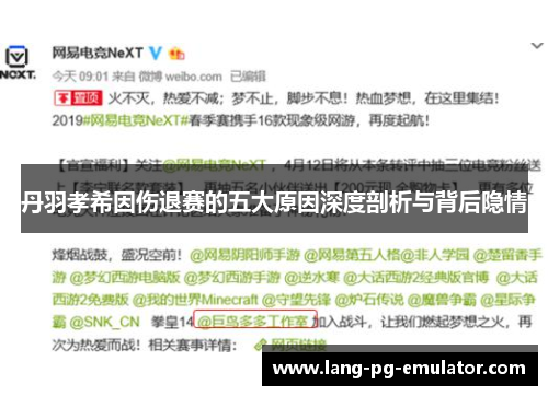 丹羽孝希因伤退赛的五大原因深度剖析与背后隐情